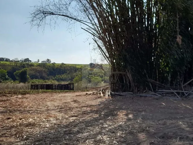Sítio, Pau D'Alhinho, 25 alq. Piracicaba - R$ 5 mi