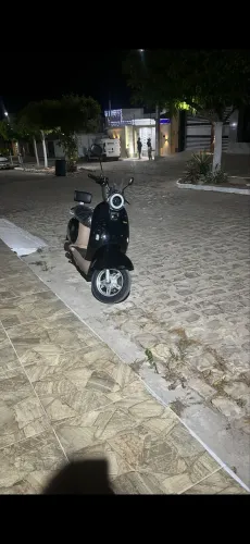 Cavalletta c12