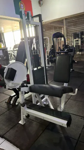 Cadeira Extensora Cybex Classic reformada