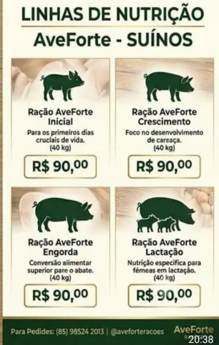 Rações para aves e suínos