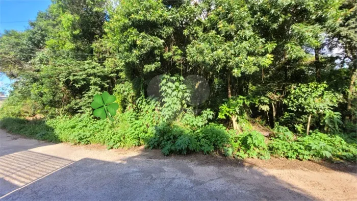 Loteamento à venda em Canjica (terra preta) - SP