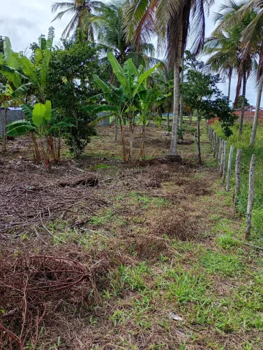 Terreno município de Pirambu