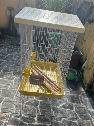 Gaiola 