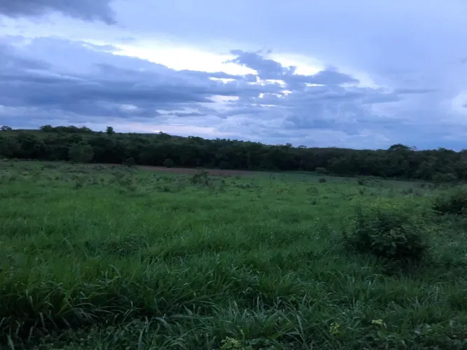Fazenda 365 hectares