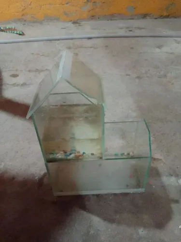 Aquário de casinha