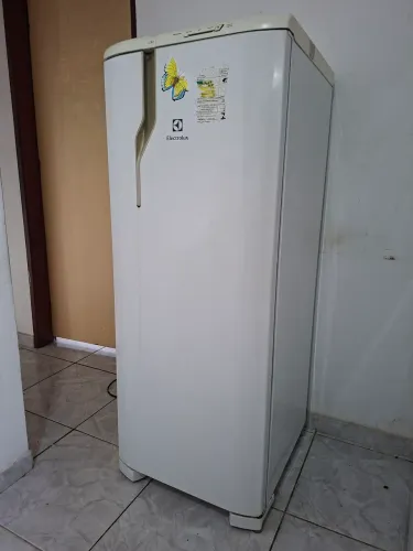 Geladeira Electrolux 240L RE31