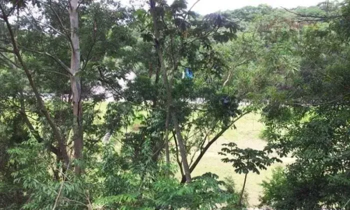 Terreno Comercial à venda no bairro Santa Fé em Osasco