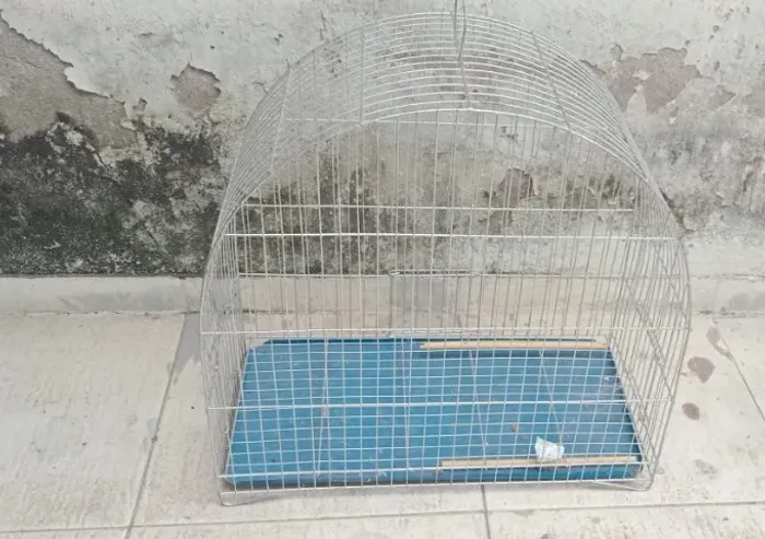 Gaiola grande para pássaros
