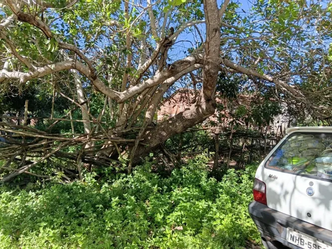 Vendo terreno em Município de Urbano Santos