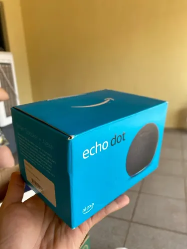 Alexa echo dot