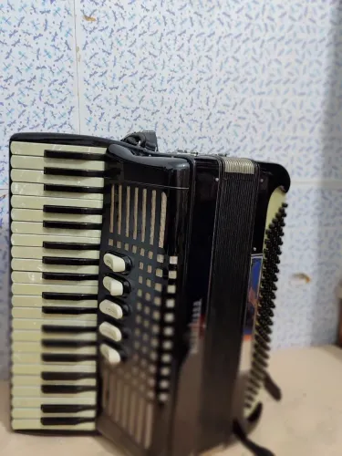 Acordeon 120bx Excelsior conservadissimo 