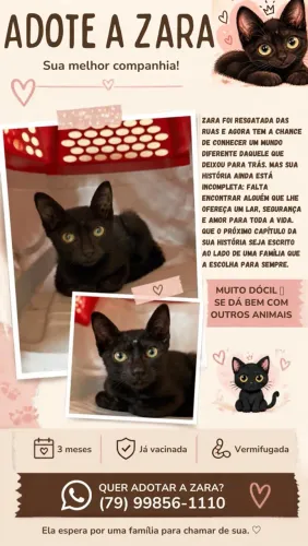 Adoção responsável