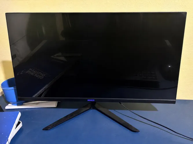 Monitor gamer
