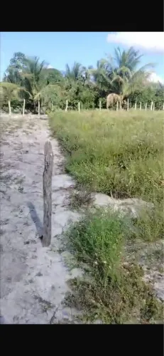 Terreno no conde
