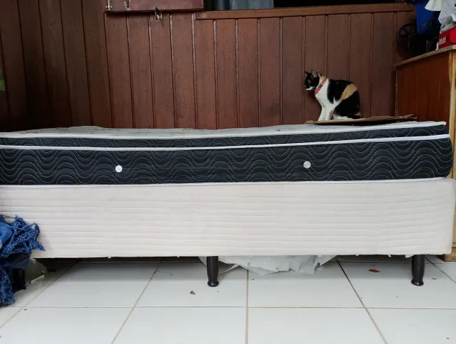 Cama box solteiro Ortobom 