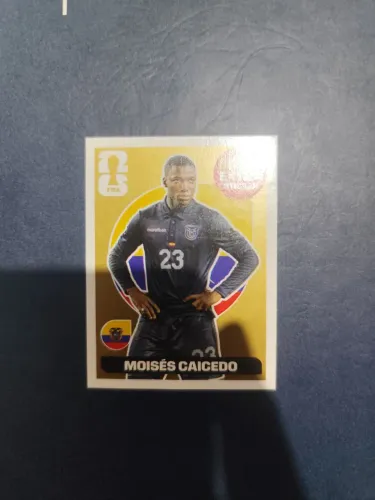 LEGEND CAICEDO OURO