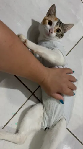 doação responsável 