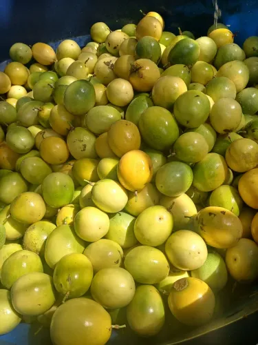 Polpa de maracujá 100%natural, direto do produtor rural 