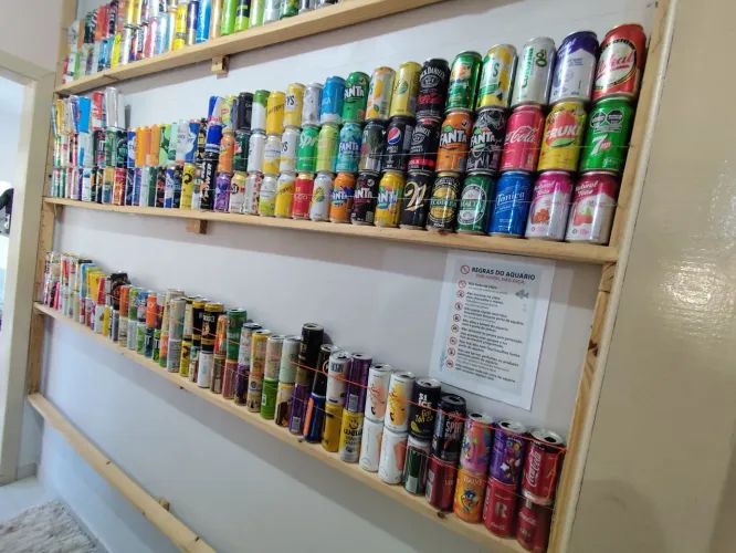 Coleção de latinhas, 240 latas
