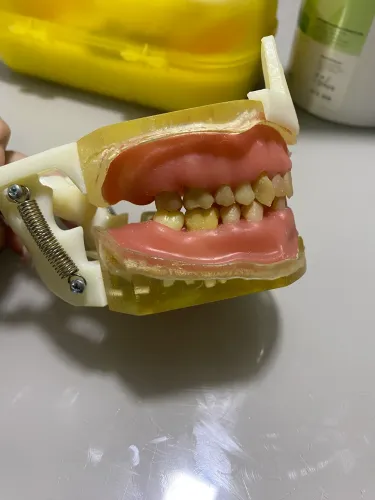 Manequim odontológico cirurgia
