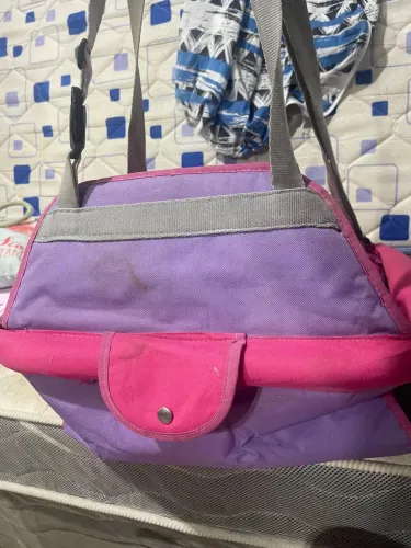 Bolsa de transporte de Pets em veículo