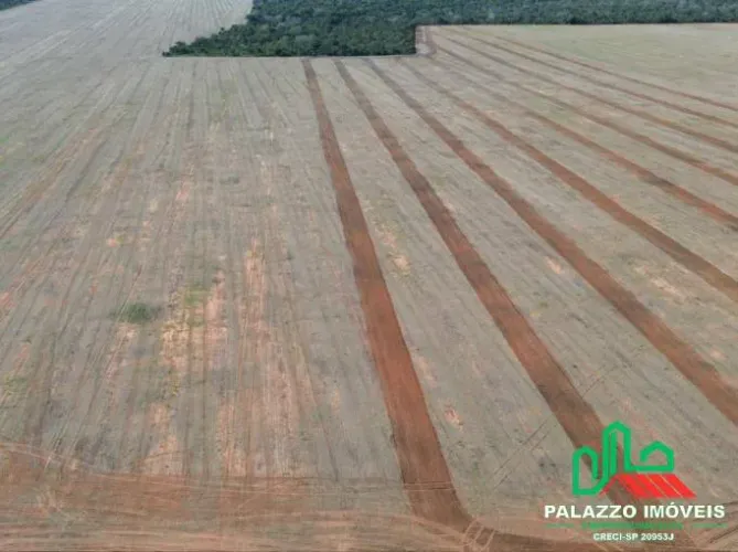 FAZENDA EM TUPIRATINS TOCANTINS 30KM DA CIDADE ÁREA TOTAL 13.778 HECTARE
