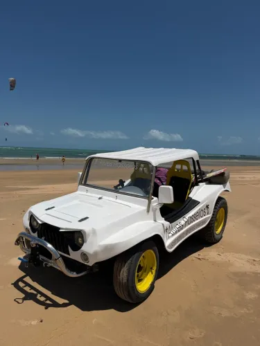 BRM Buggy W. Turing/luxo/m-11 Absolut 1.6 8V 2005