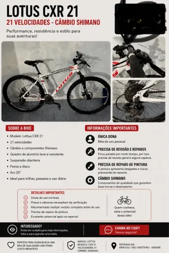 Bicicleta
