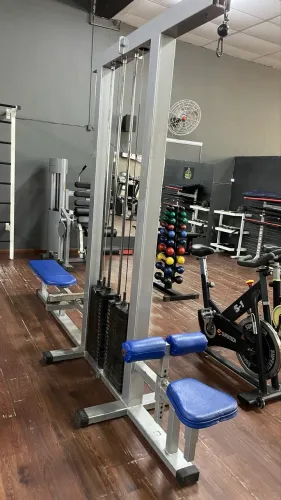 Musculação
