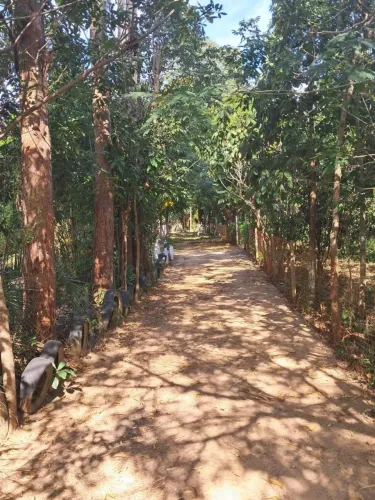 Chácara formada, negócio de oportunidade,  um sonho de lugar, junto a cidade de Palmas-TO