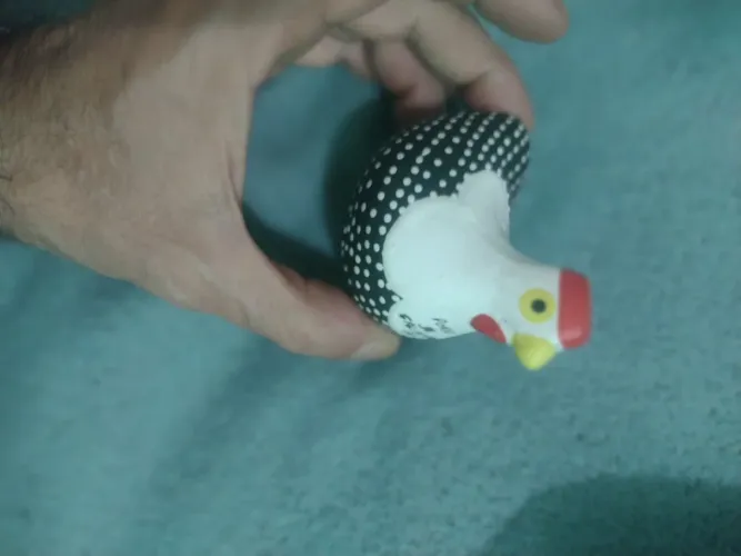 Miniatura de galinha 