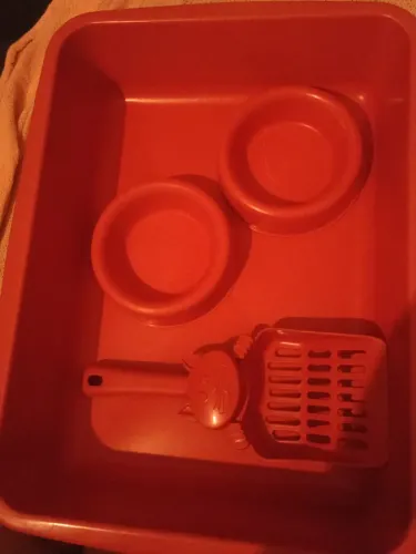 Caixa de areia para gatos.