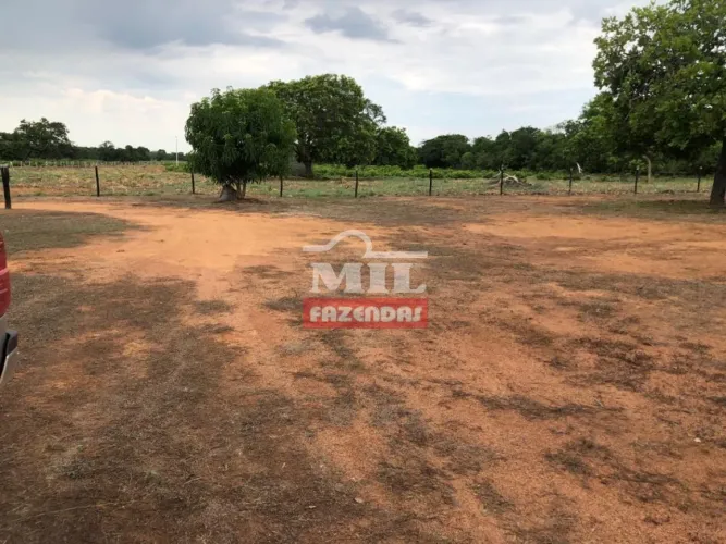 Fazenda Dupla Aptidão - Sul do Tocantins. 100 Alqueires (484 Hectares) São Valério - TO.