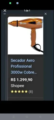 Secador lion