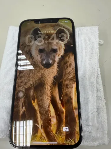 Phone 12 Pro Max Grafite 128GB com cabo e 4 capas coloridas Bateria 82%