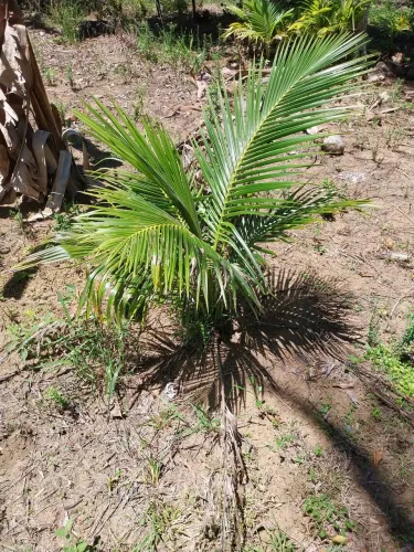 Casa a venda