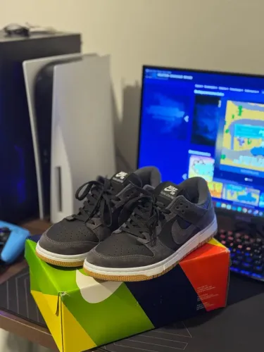 tênis Nike Dunk Low Pro 42 