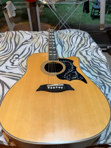 Violão Michael VM925DTC ST ? restaurado e revisado por luthier