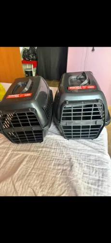 Caixa de Transporte N 2 Cachorro Gato Coelho Caixa de Transporte Pet 2 Travas 1 Alça