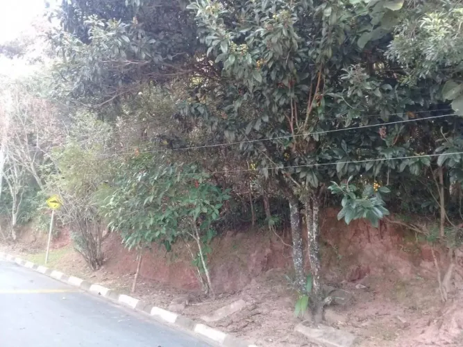Terreno à venda, 1200 m² - Granja Viana II - Cotia/SP