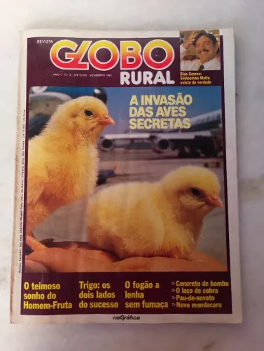 Revistas Globo Rural Coleção Do número 02/340.