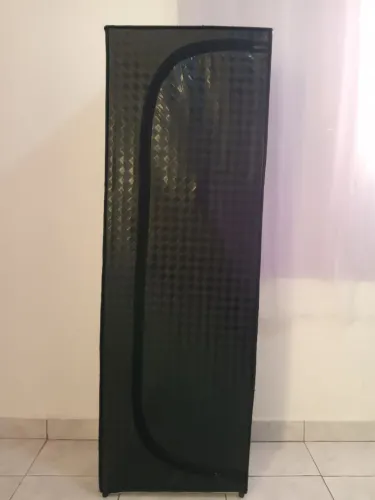 Sapateira