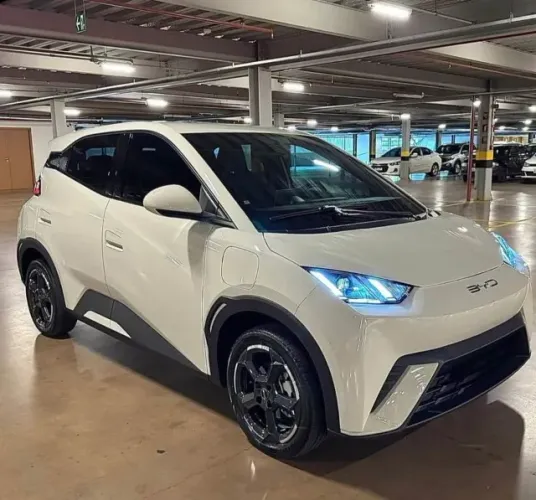 BYD Dolphin Mini (Elétrico) 2024