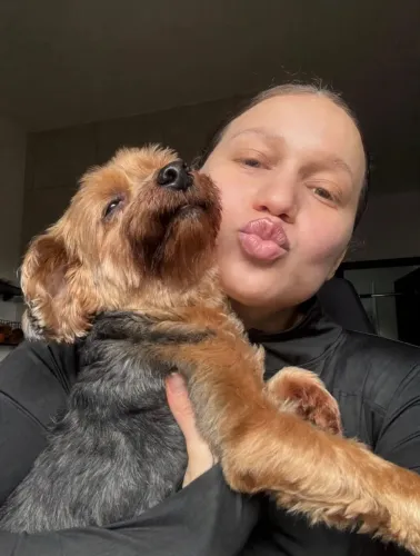 Hospedagem domiciliar para cães de pequeno porte