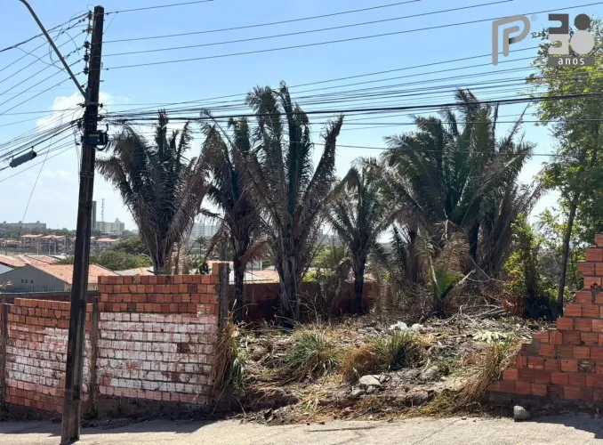 Terreno locação Olho D'Agua