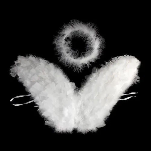 Asa de anjo para aluguel