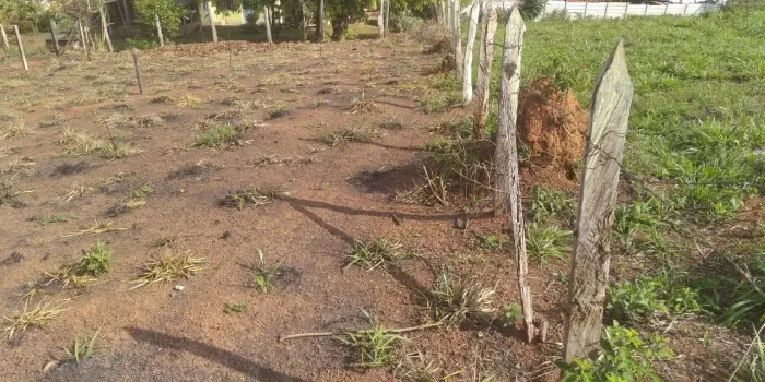 Terreno