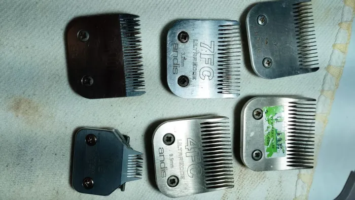 Equipamemto de banho e tosa