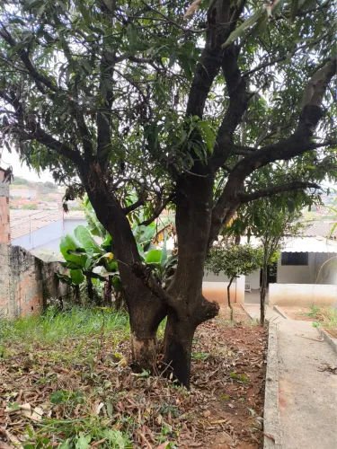 Lote com barracão