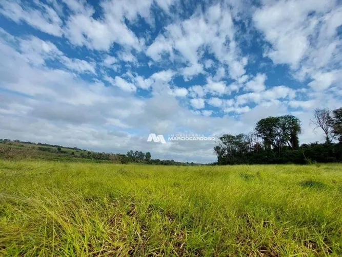 Sítio com 1 dormitório à venda, 101156 m² por R$ 3.500.000,00 - Rural - Olímpia/SP